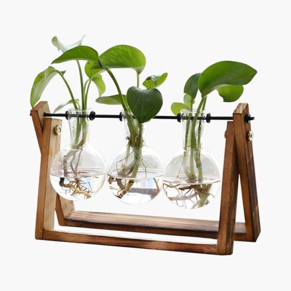 FLOWER Plant Terrarium